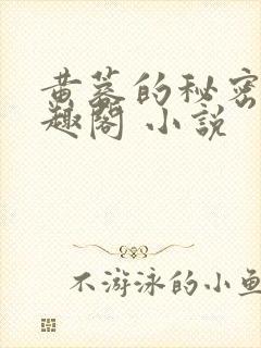 黄蓉的秘密 笔趣阁 小说