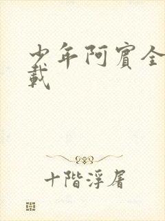 少年阿宾全集下载