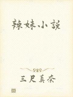 辣妹小说封面
