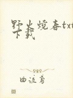 野火烧春txt下载