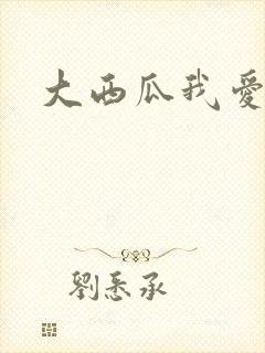 大西瓜我爱你封面