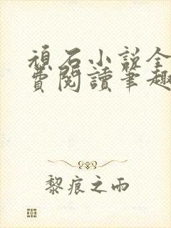 顽石小说全文免费阅读笔趣阁