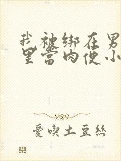 我被绑在男公厕里当肉便小说封面