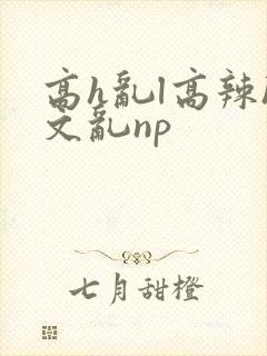 高h乱l高辣h文乱np封面