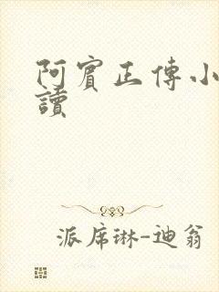 阿宾正传小说在读