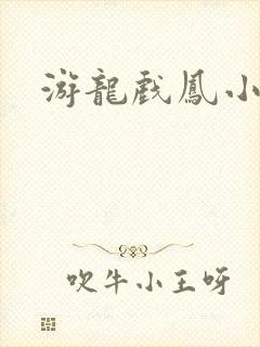 游龙戏凤小说