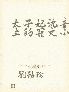 太子妃沈音和皇上的宠文小说封面
