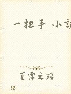 一把手 小说封面