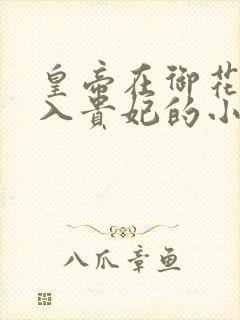 皇帝在御花园进入贵妃的小说封面