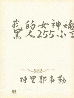 我的女神娇妻与黑人255小说封面
