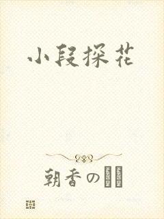 小段探花