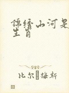 锦绣山河是什么生肖封面