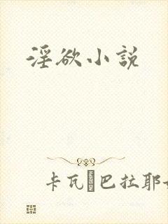 淫欲小说封面