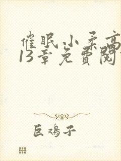 催眠小柔高达第13章免费阅读