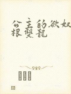 公主的欲奴h四根双龙