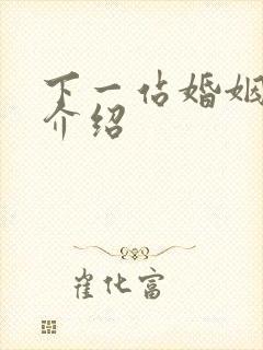 下一站婚姻剧情介绍