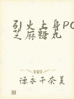 引火上身POP芝麻糖丸