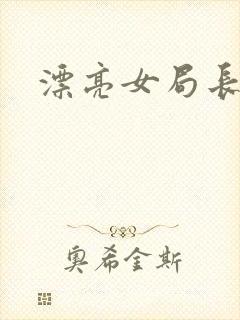 漂亮女局长封面