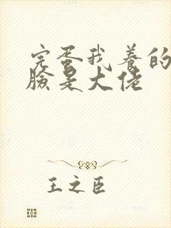 完蛋我养的小白脸是大佬