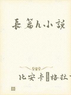 长篇h小说
