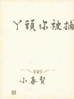 丫头你被捕了