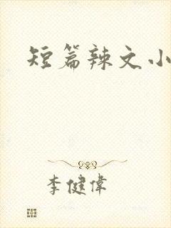 短篇辣文小说封面