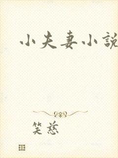 小夫妻小说