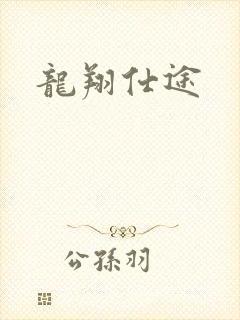 龙翔仕途封面
