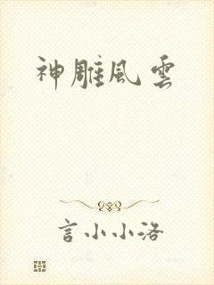 神雕风云
