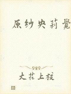 原纱央莉觉醒封面