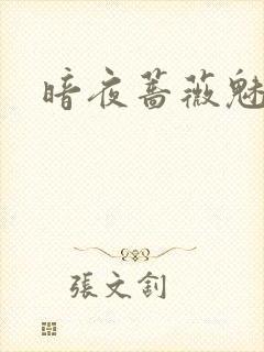 暗夜蔷薇魅