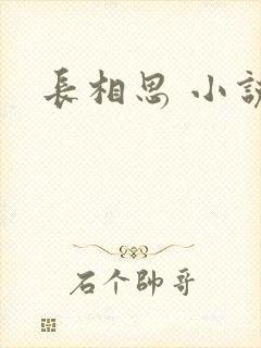 长相思 小说