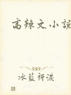 高辣文小说封面