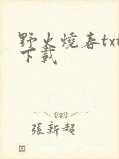 野火烧春txt下载封面