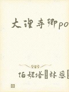 大理寺卿po封面