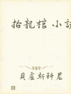 抬龙棺 小说
