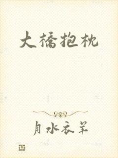 大桥抱枕封面