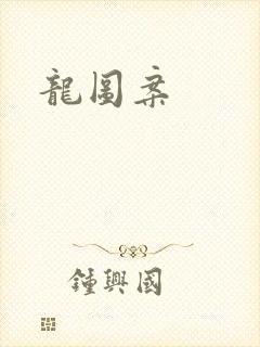 龙图案