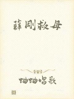 薛刚救母