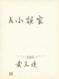 h小说家