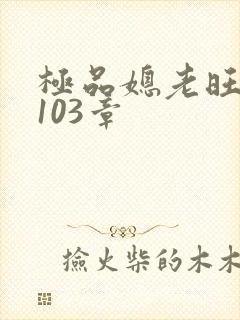 极品媳老旺秦雨103章封面