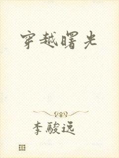 穿越曙光封面