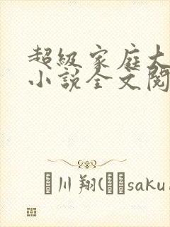超级家庭大杂烩小说全文阅读封面