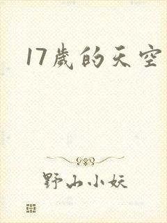 17岁的天空