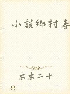 小说乡村春光封面