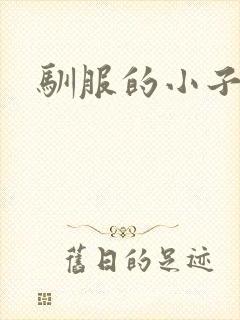 驯服的小子4