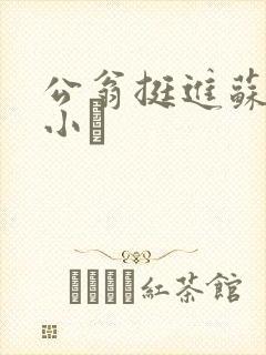 公翁挺进苏玥的小泬