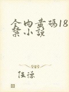 全肉黄码18无禁小说