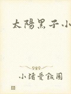 太阳黑子小说