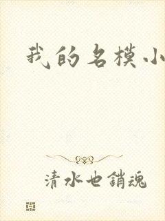 我的名模小娇妻